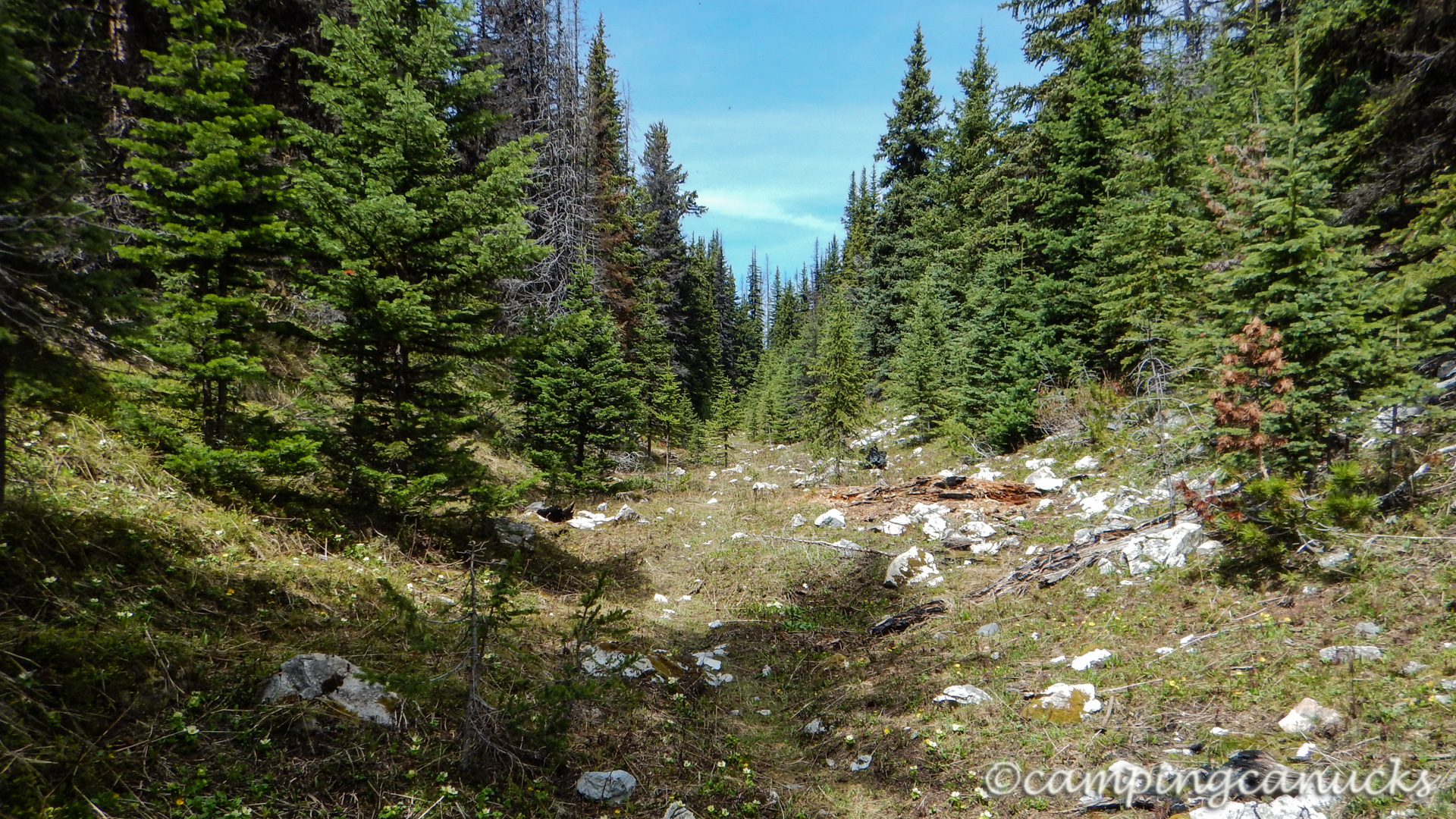 Escape to the Wild: Porcupine Creek State Recreation Site - Your Gateway to Adventure