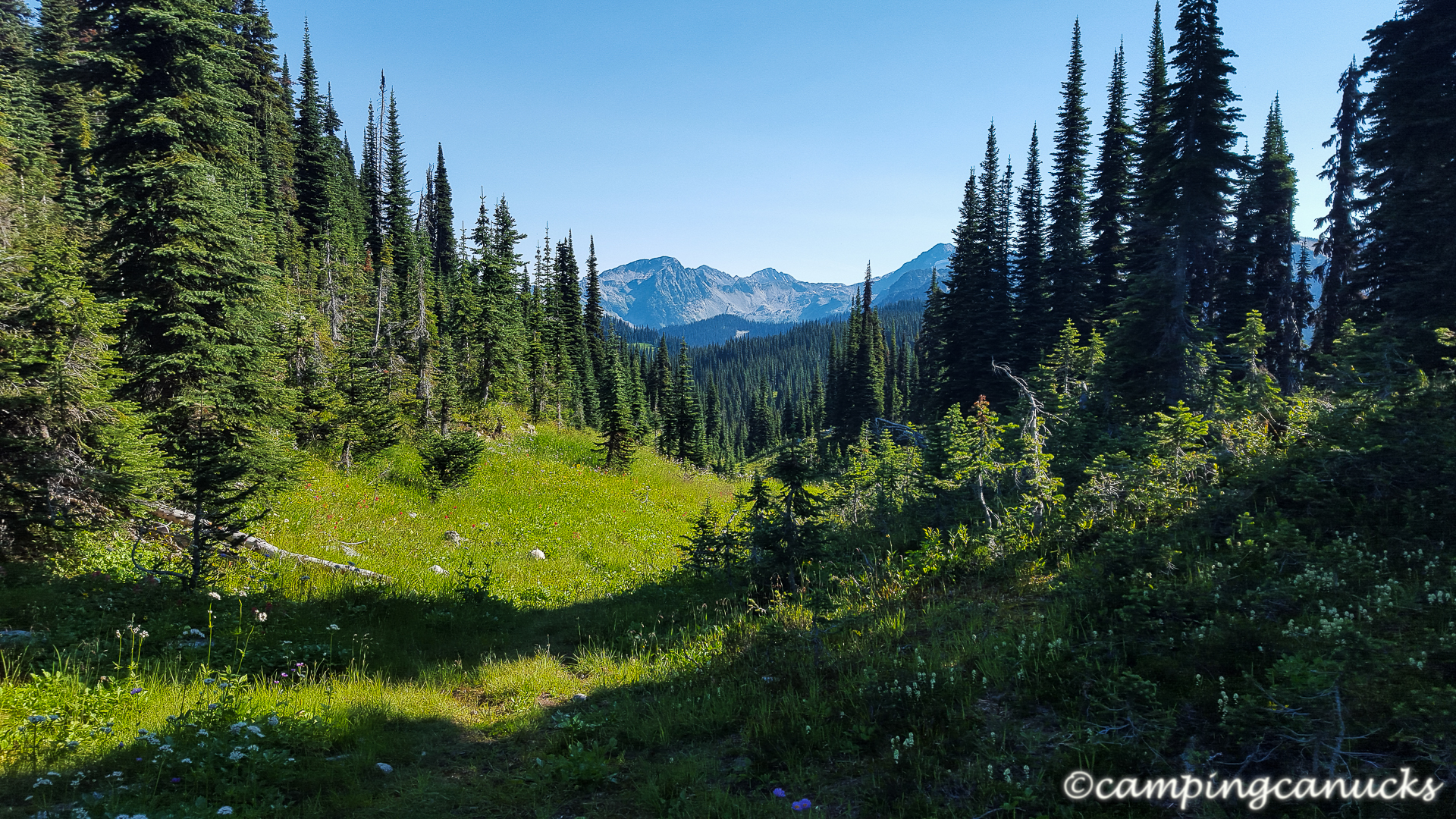 Jade Lakes Trail Mount Revelstoke National Park The Camping Canucks