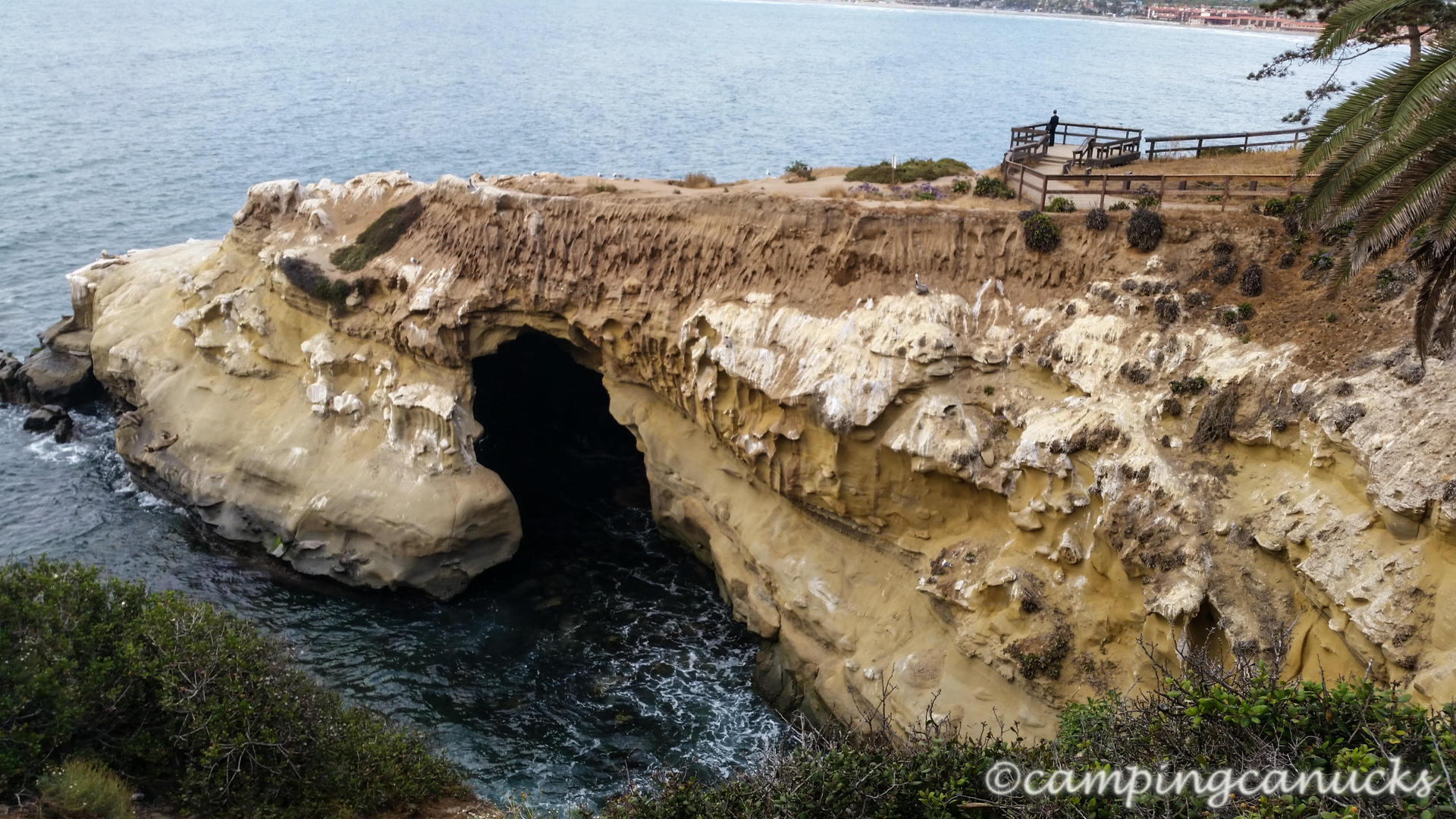 La Jolla Cove The Camping Canucks